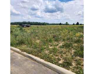 Property at 9307 Hiegel Dr