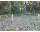Search Real Estate and Homes for Sale like 690 N Turnerville Rd Road